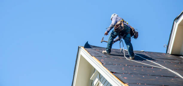 Best Roof Gutter Cleaning  in Streator, IL